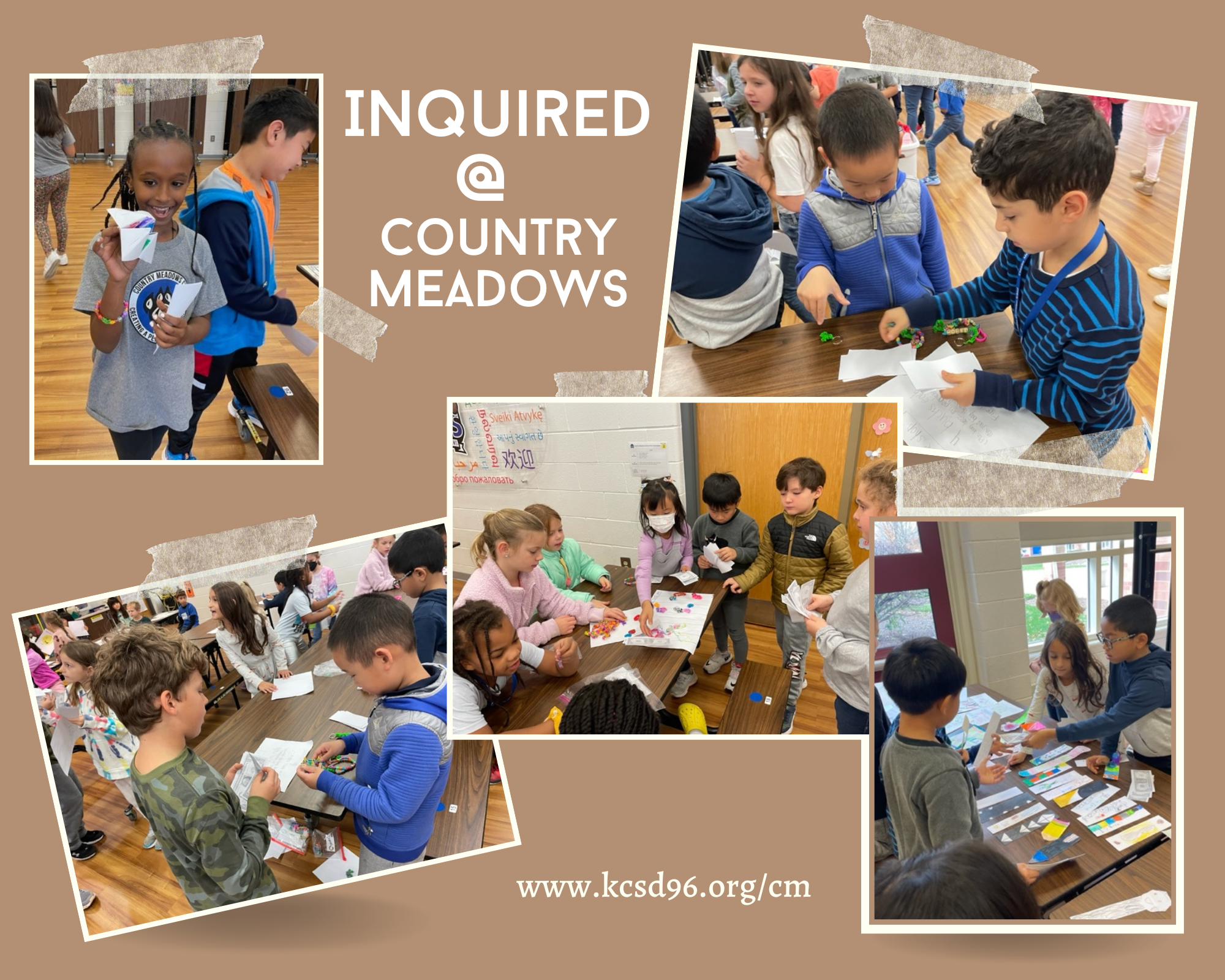 Country Meadows business project